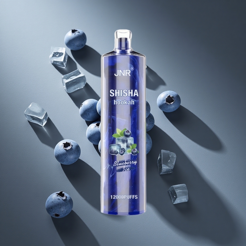 Arándano Helado JNR Shisha Hookah 12000 Puffs 24ml Capacidad de e-líquido Peru wholesale