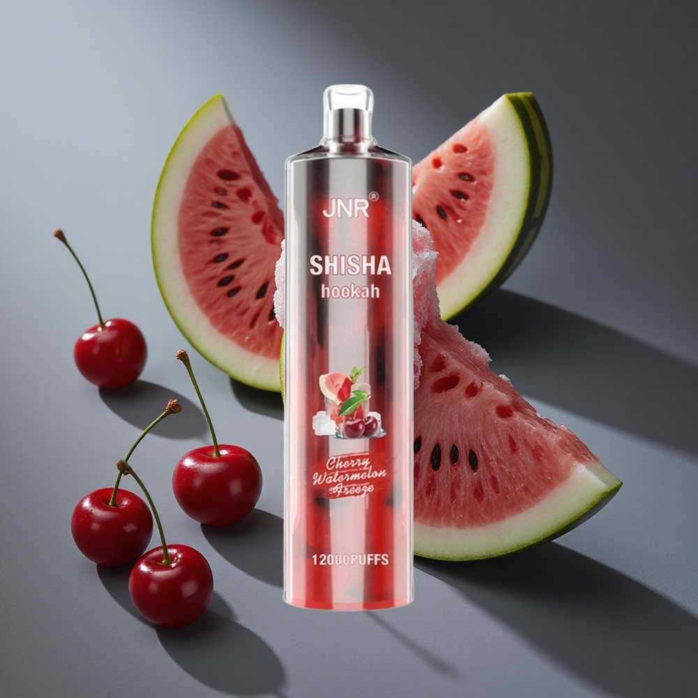Cereza Sandía Helada JNR Shisha Hookah 12000 Puffs 24ml Capacidad de E-líquido Tipo-C Carga Rápida Peru Wholesale
