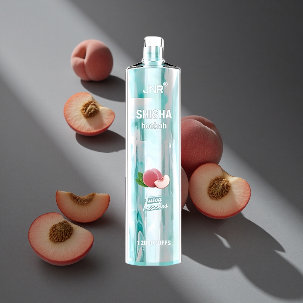 Duraznos Jugosos JNR Shisha 12000 Puffs 24ml 750mAh Peru wholesale