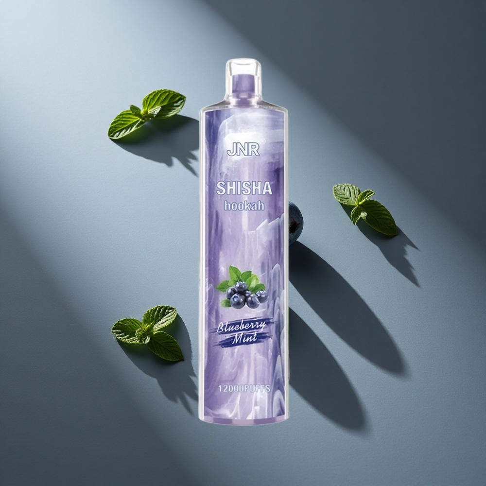 Menta Arándano JNR Shisha Hookah 12000 Puffs 24ml Tipo-C Peru wholesale